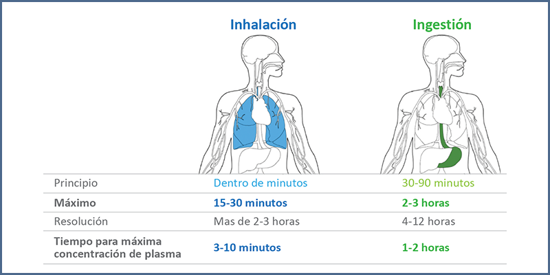 Figura 2 - Tiempos hasta lograr efectos psicoactivos después de la inhalación o ingesta de THC