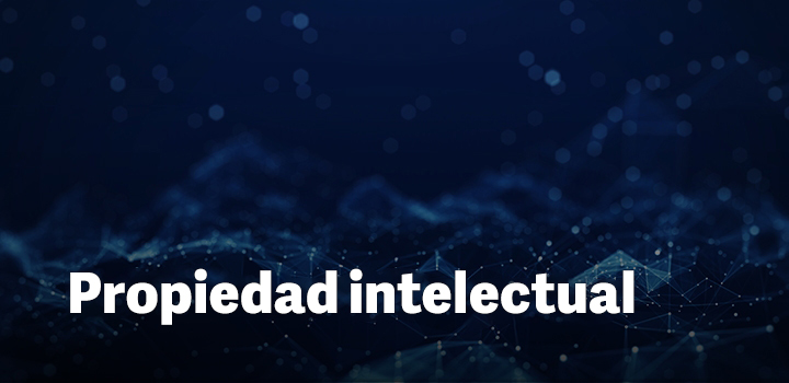 diapositiva de imagen 2